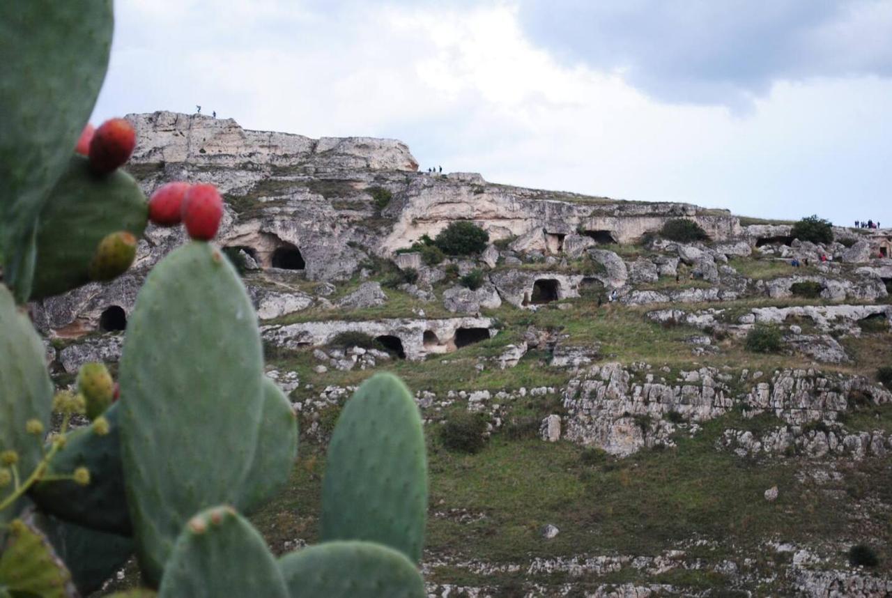 Villa Casa Vacanze Domus Centrale Matera Exterior foto